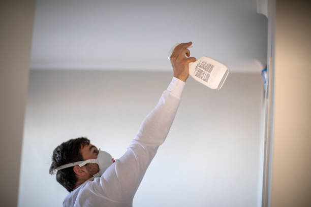 Best Mold Remediation Experts  in Panorama Village, TX