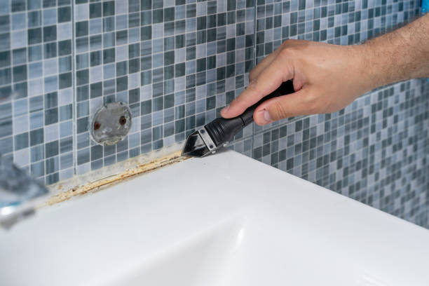  Panorama Village, TX Mold Removal Pros